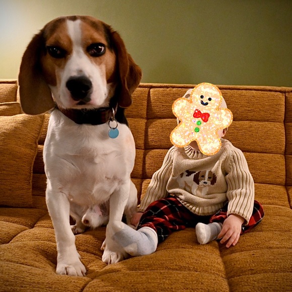 Harry & Me Boys 12 months beagle Dog Sweater & Hat Set - Picture 2 of 9